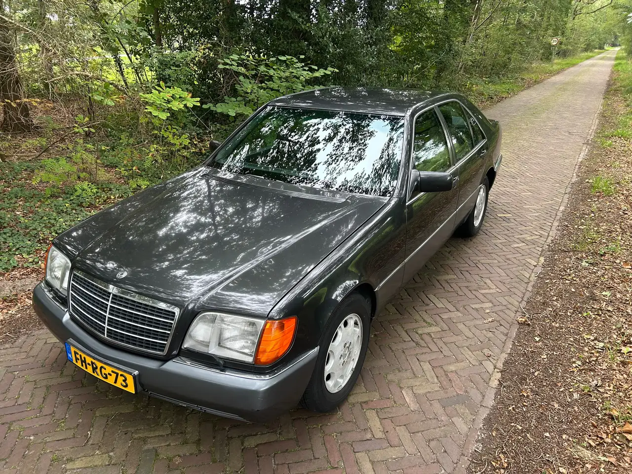 Mercedes-Benz S 300 300 SE W140, foto 3