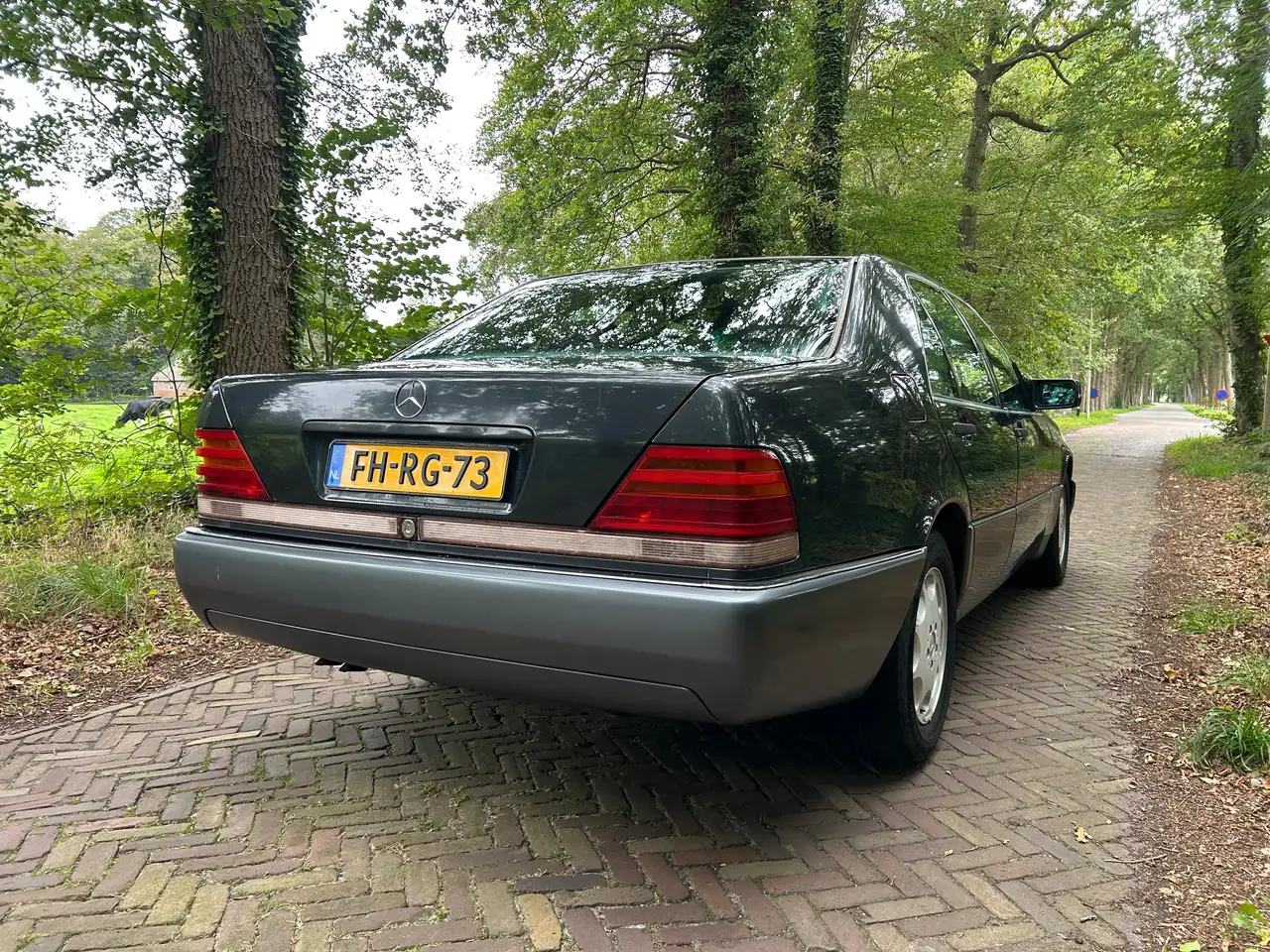 Mercedes-Benz S 300 300 SE W140, foto 10