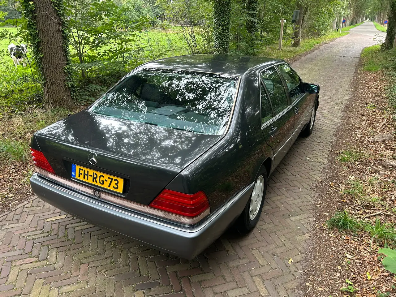 Mercedes-Benz S 300 300 SE W140, foto 5