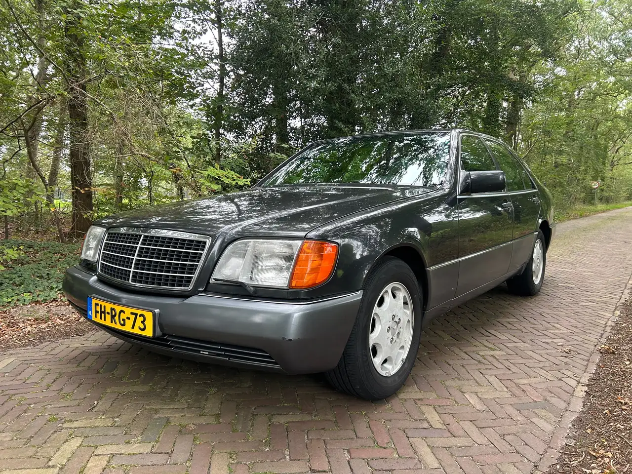 Mercedes-Benz S 300 300 SE W140, foto 12