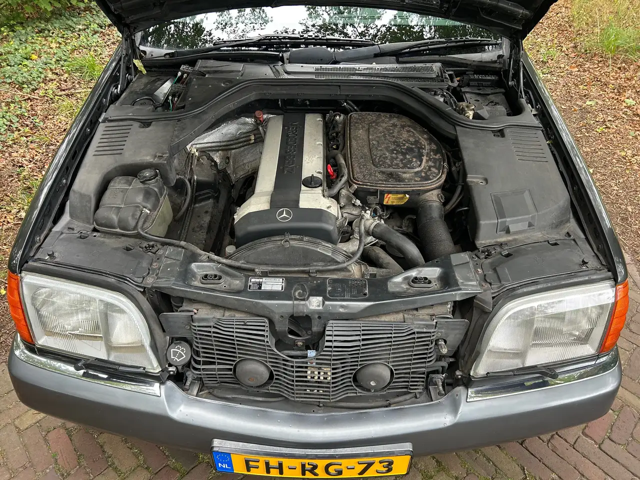 Mercedes-Benz S 300 300 SE W140, foto 6