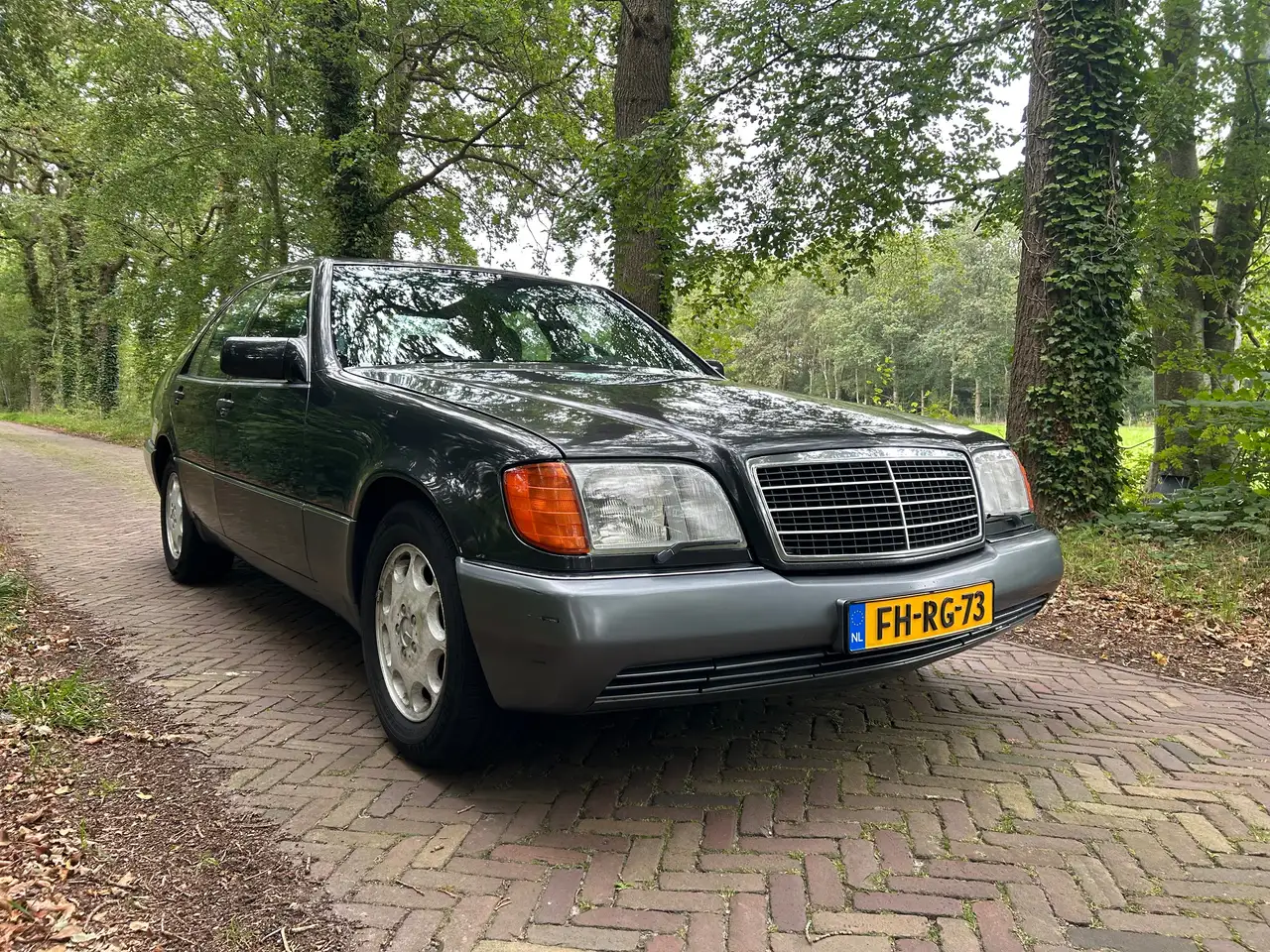 Mercedes-Benz S 300 300 SE W140, foto 11