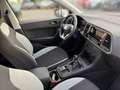 SEAT Ateca 1.0 Reference TSI Sitzheizung Weiß - thumbnail 16
