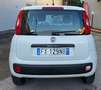 Fiat Panda 0.9 TwinAir Turbo Natural Power Easy - 21.000 KM! Bianco - thumbnail 5