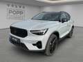 Volvo XC40 B3 Plus Black Edition 20" ACC DACH FHZ H&K Grau - thumbnail 9