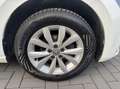 Volkswagen Polo 1.0 TSI Beats Highline Stoelverwarming cruis Blanc - thumbnail 34