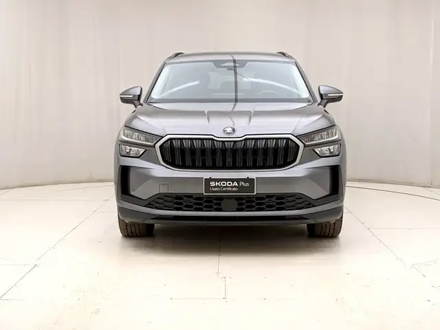 Skoda Kodiaq view 2