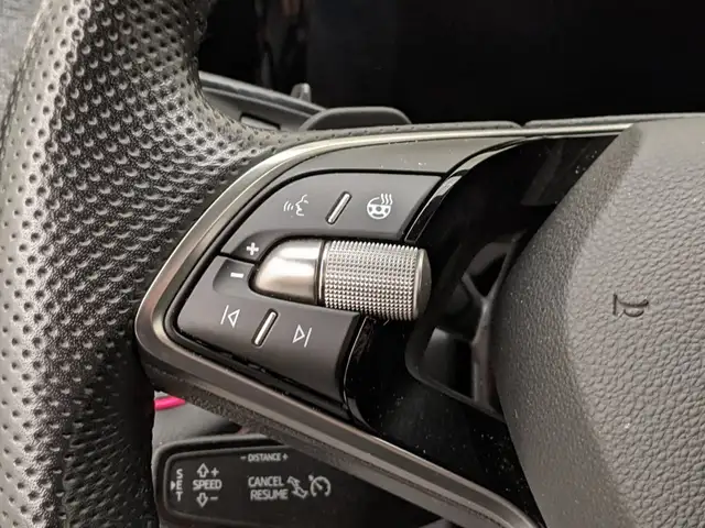 Skoda Kodiaq view 12