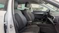 CUPRA Formentor 2.0 TDI 150 Blanco - thumbnail 12
