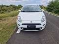 Fiat Punto Evo 5p 1.3 mjt 150th s Bianco - thumbnail 2