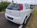 Fiat Punto Evo 5p 1.3 mjt 150th s Bianco - thumbnail 4