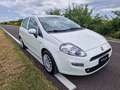 Fiat Punto Evo 5p 1.3 mjt 150th s Bianco - thumbnail 3