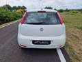 Fiat Punto Evo 5p 1.3 mjt 150th s Bianco - thumbnail 5