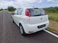 Fiat Punto Evo 5p 1.3 mjt 150th s Bianco - thumbnail 6