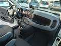 Fiat Panda *GPL* 1.2 EasyPower *PREZZO REALE, NO VINCOLI Bianco - thumbnail 14