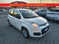 Fiat Panda *GPL* 1.2 EasyPower *PREZZO REALE, NO VINCOLI Bianco - thumbnail 3