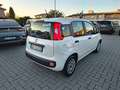 Fiat Panda *GPL* 1.2 EasyPower *PREZZO REALE, NO VINCOLI Bianco - thumbnail 4