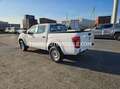 Nissan Navara - EXPORT OUT EU TROPICAL VERSION - EXPORT OUT EU TROPICAL VERSION Weiß - thumbnail 12
