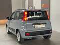 Fiat Panda Panda 1.2 easypower Lounge Gpl 69cv Grijs - thumbnail 5