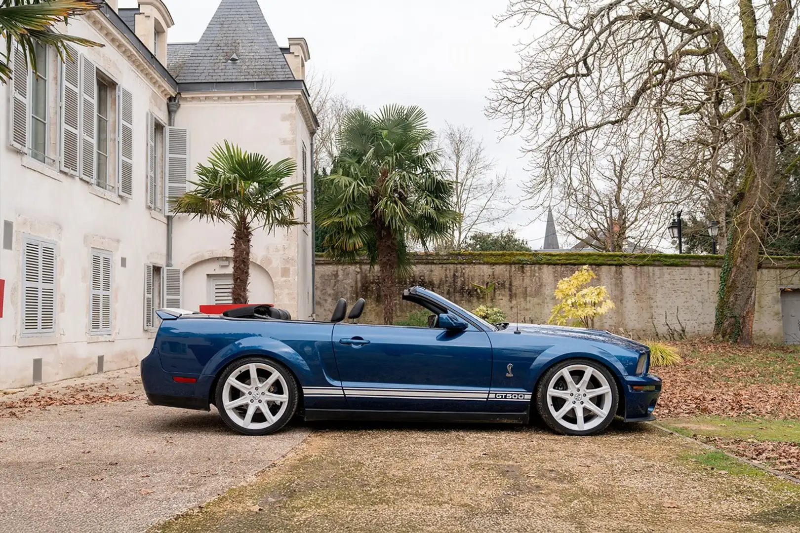 Ford Mustang GT 500 Shelby - V8 5.4 507 cv - 500 exemplaires Bleu - 2