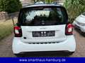 smart forTwo Coupé EQ 22kW COOL AUDIO 22kW Lader SHZ Weiß - thumbnail 3