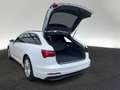Audi A6 45 TDI sport quattro S tronic Matrix St Weiß - thumbnail 10