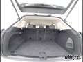 Volkswagen Touareg ATMOSPHERE 3.0 V6 TDI TIPTRONIC (+EURO6) Weiß - thumbnail 13