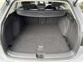Volkswagen Golf Variant 1.0 E-TSI 110PK Life Business automaat (PANO|18"|A Gris - thumbnail 36
