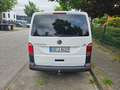 Volkswagen T6 Transporter Transporter T6 Kurz Weiß - thumbnail 4