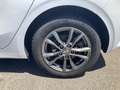 Kia Ceed / cee'd ceed 1,6 CRDi 48V Silber Weiß - thumbnail 11