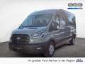 Ford Transit Kasten Trend 350L3 FWD ExpressLine Grau - thumbnail 1