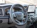 Ford Transit Kasten Trend 350L3 FWD ExpressLine Grau - thumbnail 9