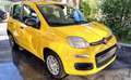 Fiat Panda Panda 1.0 FireFly S&S Hybrid Pop Gelb - thumbnail 1