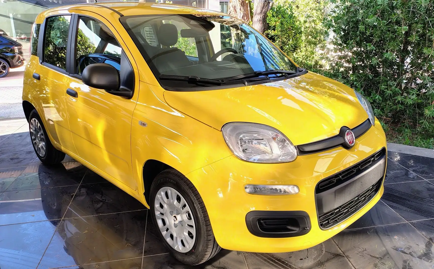 Fiat Panda Panda 1.0 FireFly S&S Hybrid Pop Gelb - 1