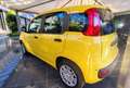 Fiat Panda Panda 1.0 FireFly S&S Hybrid Pop Gelb - thumbnail 6