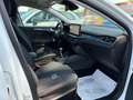 Ford Focus 1.0 HYBRID ACTIVE X 125cv Ecoboost KM 0 Bianco - thumbnail 9