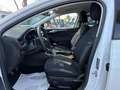Ford Focus 1.0 HYBRID ACTIVE X 125cv Ecoboost KM 0 Bianco - thumbnail 7