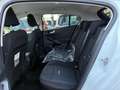 Ford Focus 1.0 HYBRID ACTIVE X 125cv Ecoboost KM 0 Bianco - thumbnail 8