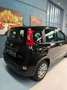 Fiat Panda HYBRID 1.0 69CV  SENZA VINCOLI!! SENSORI PARCHEGG Noir - thumbnail 6