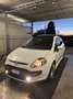 Fiat Punto Evo 3p 1.3 mjt Sport 90cv dualogic - thumbnail 2