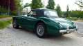 Austin-Healey 100 bn1 Grün - thumbnail 5