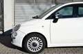 Fiat 500 Klima, Panorama, Allwetter Blanco - thumbnail 4