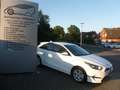 Kia Ceed / cee'd Ceed ED7 Emotion ADA AHK Weiß - thumbnail 1