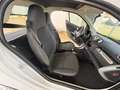 smart forTwo 1000 52 kW EURO 5 OK NEOPATENTATI AUTOMATICA Blanc - thumbnail 15