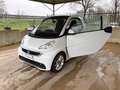 smart forTwo 1000 52 kW EURO 5 OK NEOPATENTATI AUTOMATICA Blanc - thumbnail 31