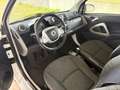 smart forTwo 1000 52 kW EURO 5 OK NEOPATENTATI AUTOMATICA Blanc - thumbnail 9