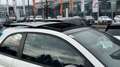 Fiat 500 S* PANO* Komfort/ City Paket*PDC*ECO* Weiß - thumbnail 44
