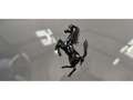 Ferrari FF 6.3 V12 660 / Historique Ferrari complet / Entiere Gris - thumbnail 26
