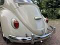 Volkswagen Kever 1965 L572 Panama Beige Original Paint Matching # Beige - thumbnail 44