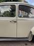Volkswagen Kever 1965 L572 Panama Beige Original Paint Matching # Beige - thumbnail 35